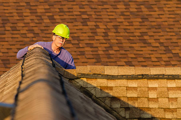 Best Residential Roofing Contractor  in Nocatee, FL