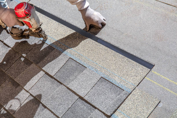 Best Residential Roofing Contractor  in Nocatee, FL