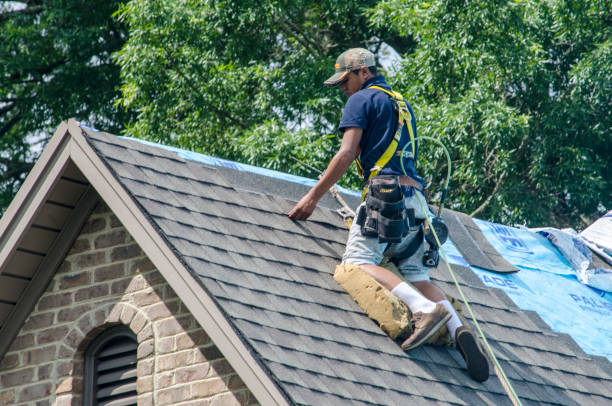 Best New Roof Installation  in Nocatee, FL